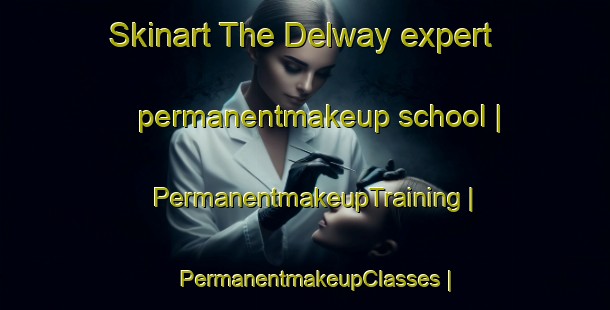 Skinart The Delway expert permanentmakeup school | PermanentmakeupTraining | PermanentmakeupClasses | SkinartTraining-United States
